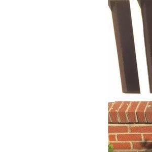 Meet your Posher, Sammy